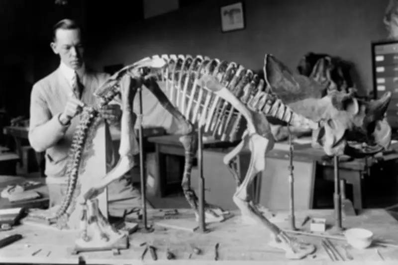 Fossil Discovery in China Reveals Complex Life Evolved Earlier Than Thought