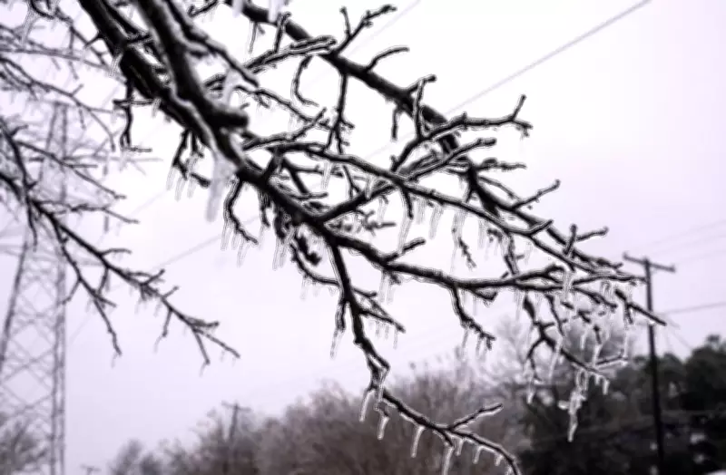 Freezing Rain Descends on Winnipeg and Southeast Manitoba, Creating Hazardous Conditions