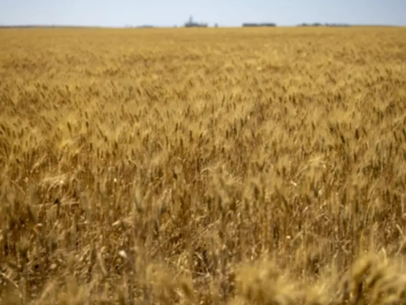 From Iran to Saskatchewan: A Refugee's Journey of Belonging in Canada