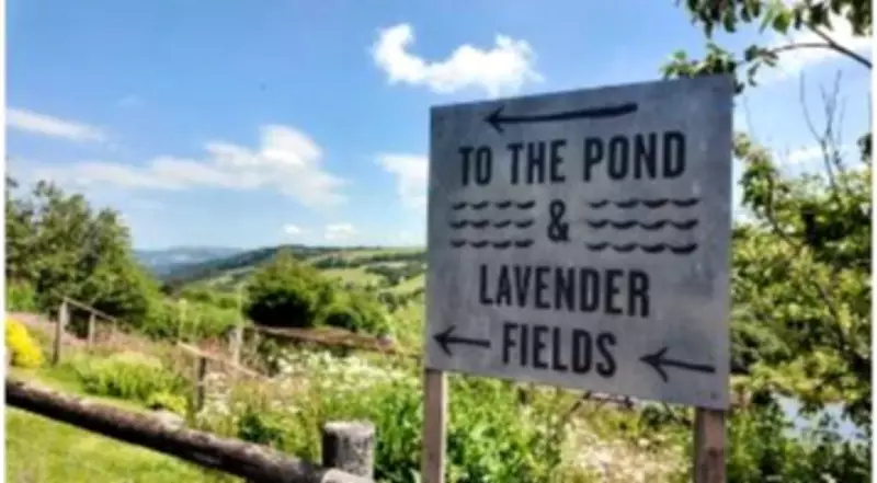 From War Zones to Welsh Lavender: A Canadian Journalist's Unexpected Second Act