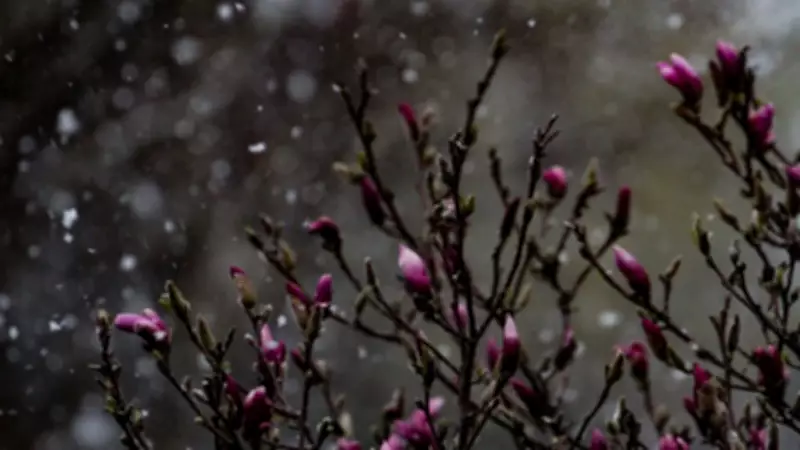 From Wind Chills to 20°C: London Braces for a Milder Weather Stretch Ahead