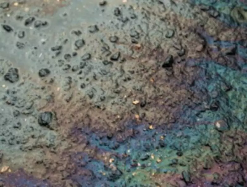 Fuel Oil Spill Contaminates Water in Minden Hills, Prompting Environmental Concerns