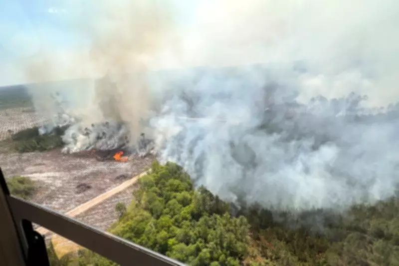 Georgia Wildfire Tops 31 Square Miles, Evacuations Possible