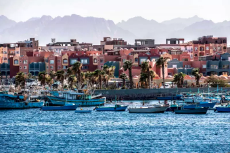 German Tourist Dies After Snake Bite at Hotel Show in Egypt