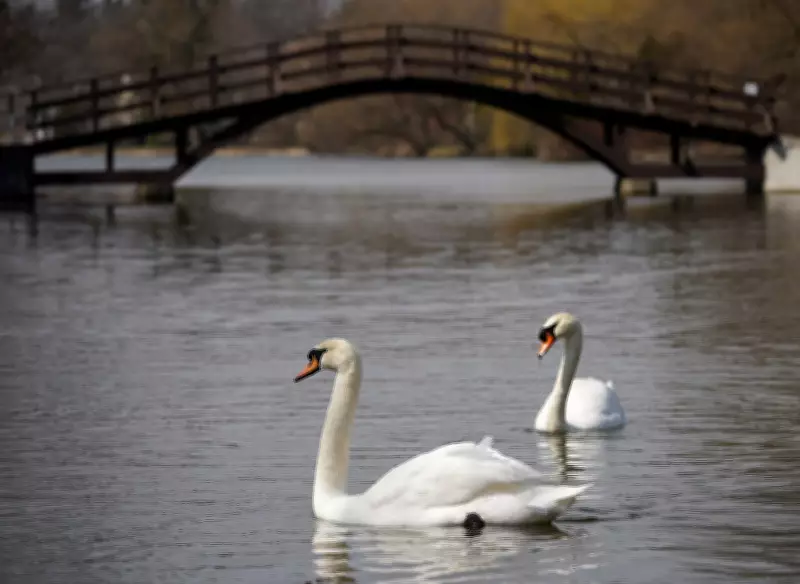 GO Train Service Expansion to Stratford Announced, Enhancing Regional Connectivity