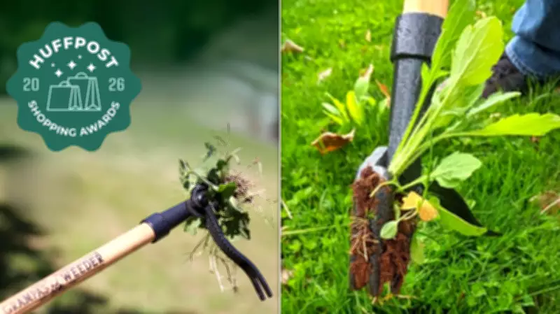 Grampa's Weeder: A Century-Old Tool Goes Viral as a Back-Saving Garden Marvel
