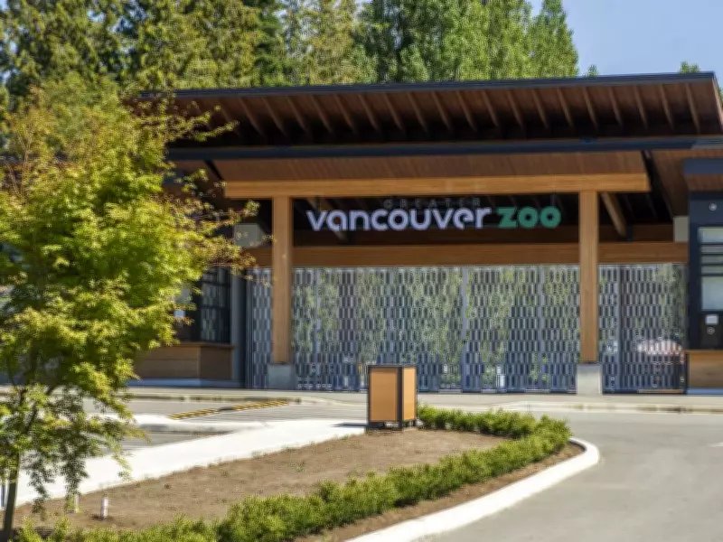 Greater Vancouver Zoo Mourns Loss of Beloved Lion Boomer at Age 18