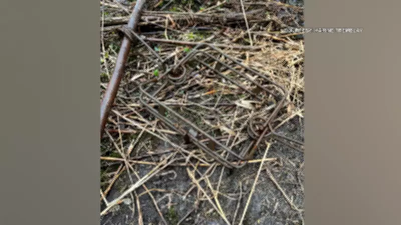 Greely Residents Outraged Over Lethal Beaver Trapping Incident