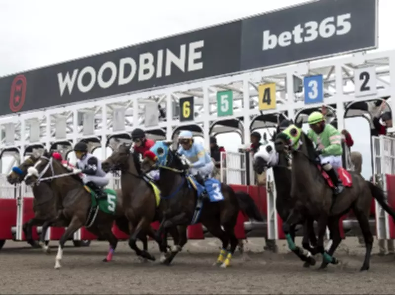 Haley's Honor Triumphs in Woodbine's 2026 Season Opener Amid Rainy Start