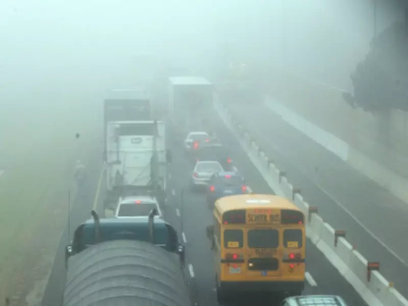 Heavy Fog Forces Cancellation of School Buses in Windsor and Essex County