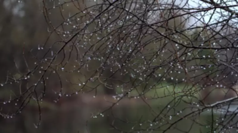 Heavy Rain Expected in Sault Ste. Marie Monday Evening into Tuesday