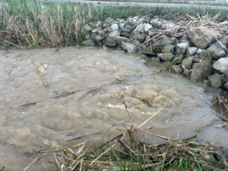 Heavy Rains Trigger Flooding Concerns in Harrow, Ontario
