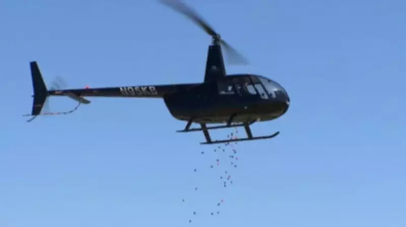 Helicopter Drops 6,000 Easter Eggs for Colorado Church Egg Hunt