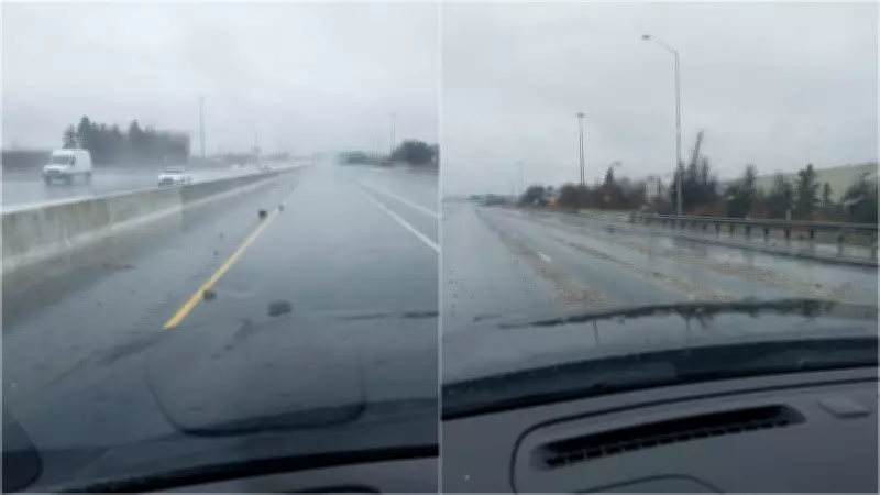 Highway 404 in Markham Closed After Debris Spill, OPP Reports