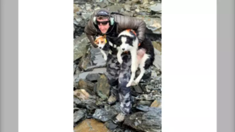 Hiker's Dog Rescued by Helicopter in New Zealand Forest After Community Funds Search