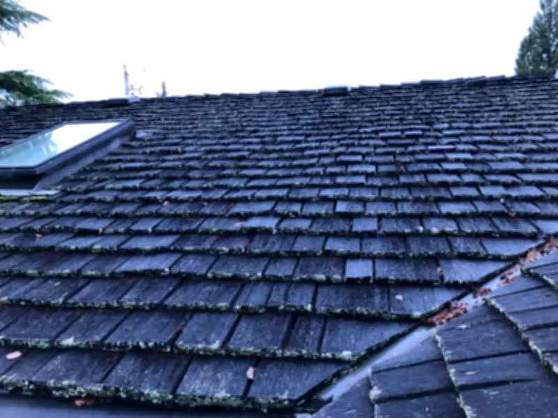 Houseworks: Roof and Deck Maintenance Tips from Handyman Steve Maxwell