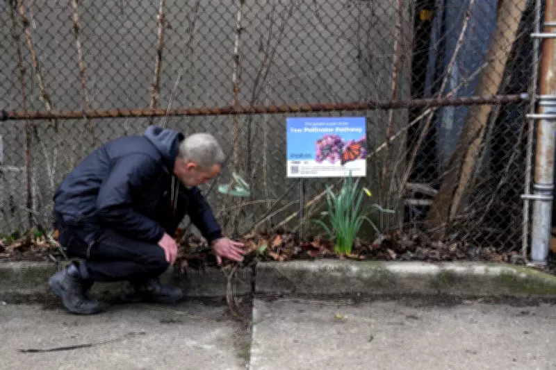 How 're-wilding' boosts climate resilience and bee habitats in Canadian cities