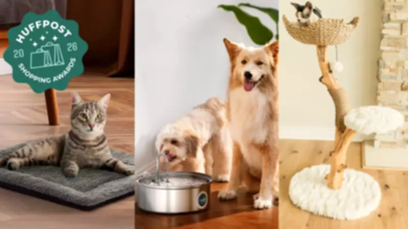 HuffPost Shopping Awards 2026: Top-Rated Pet Products for Your Furry Family