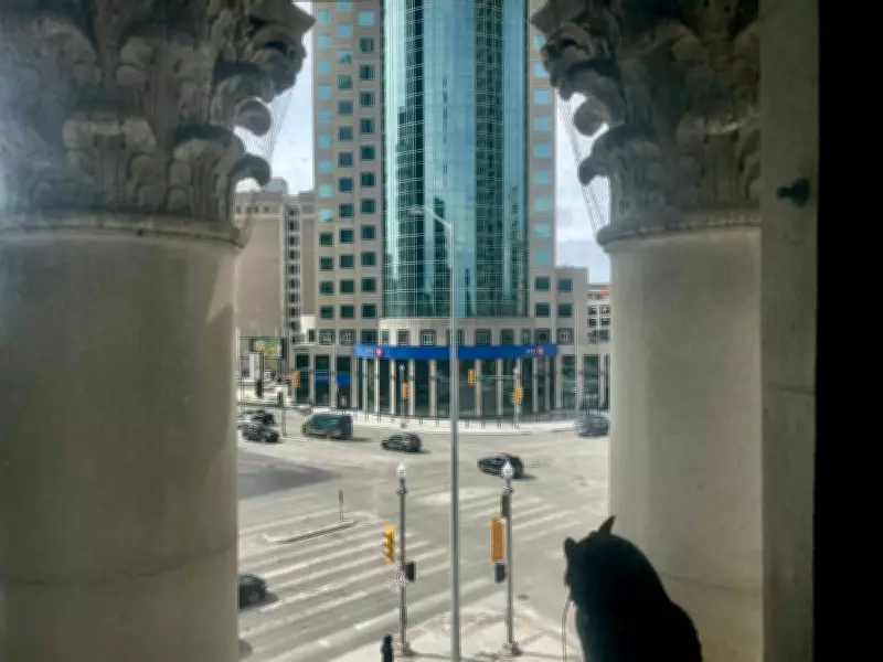 Inside the Bank of Montreal Building: A Look at Portage and Main Renovations