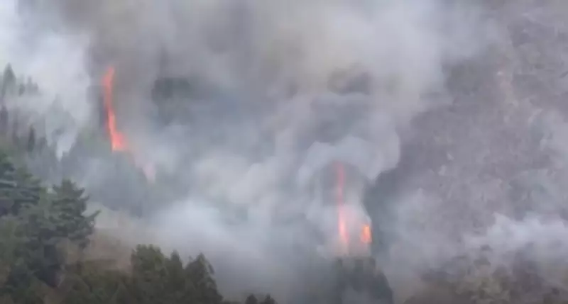 Japan Deploys Hundreds of Firefighters to Battle Raging Wildfires in North