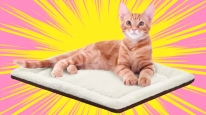 Keep Pets Cozy This Winter with Self-Warming Pads for Cold Floors