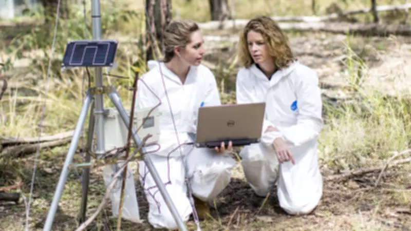 Kingsville to Host Unique Human Remains Research Facility, Boosting Forensic Science