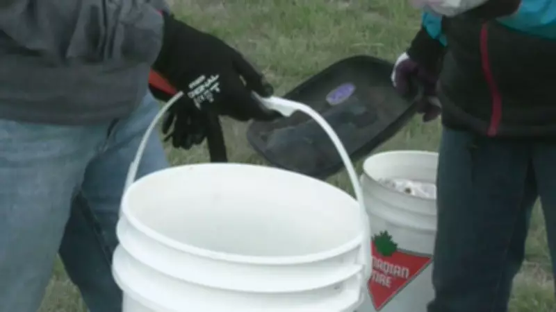 Lethbridge Volunteers Launch Coulee Clean-up Campaign on Earth Day 2026