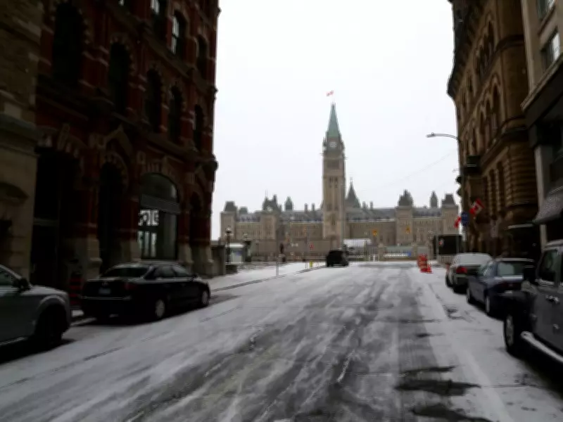 Liberal Majority Threatens Parliamentary Accountability Through Committee Control