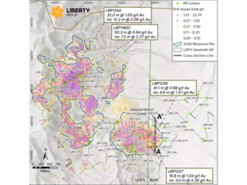 Liberty Gold Announces Final 2025 Drill Results from Black Pine Gold Project in Idaho