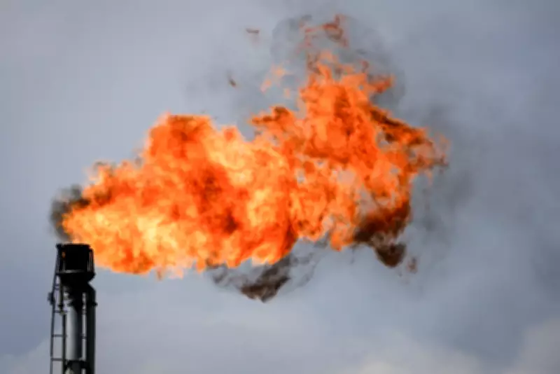 LNG Canada's Gas Flaring Surpasses Permitted Volumes, Documents Reveal