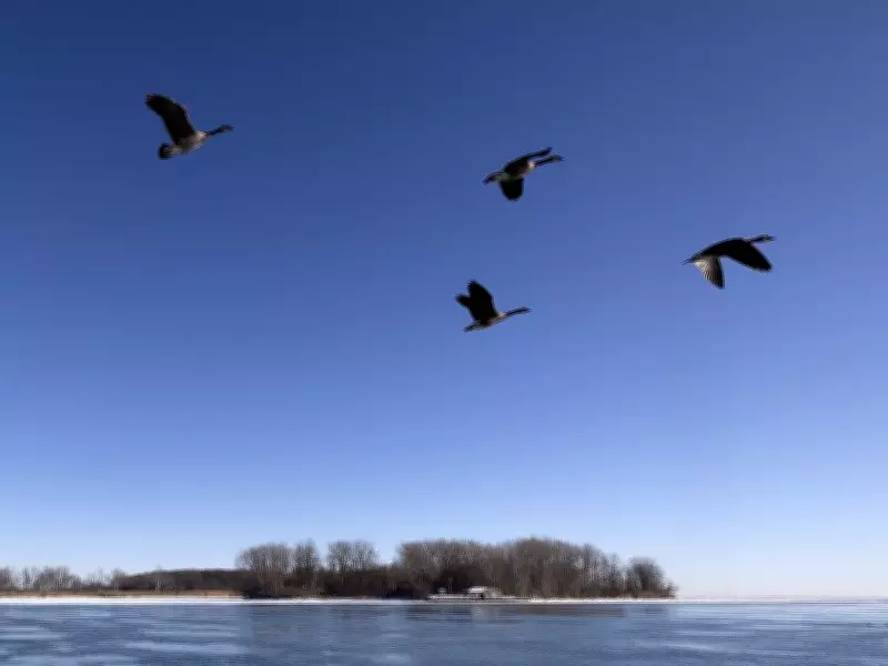 Local Concerns Over ERCA Merger and Peche Island Theme Park Proposal