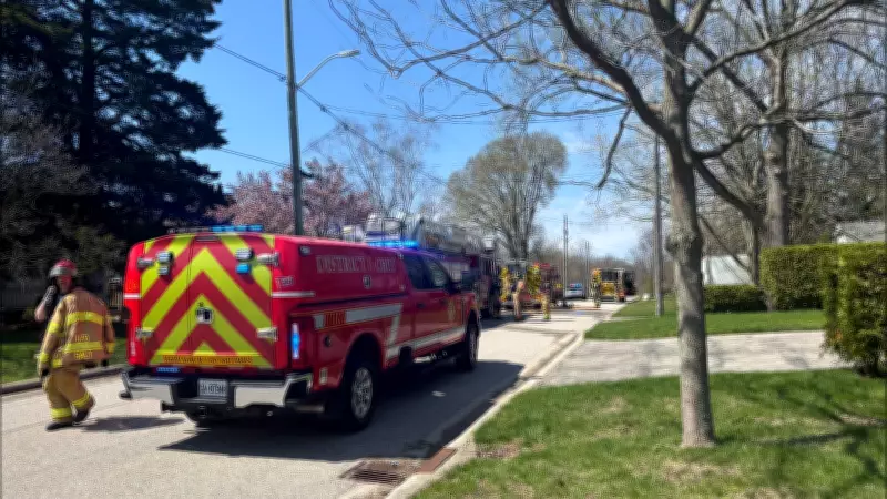 London House Fire Claims Cat's Life, Firefighters Respond to Forest Hill Avenue Blaze