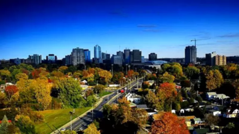 London, Ontario Launches Funding Program to Protect Mature Urban Trees