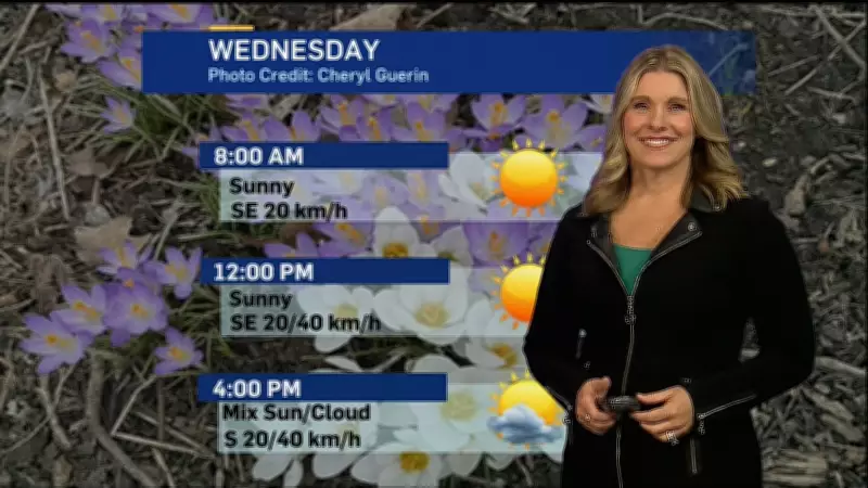 London Weather: Double-Digit Temperatures Wednesday, Rain Expected Later This Week