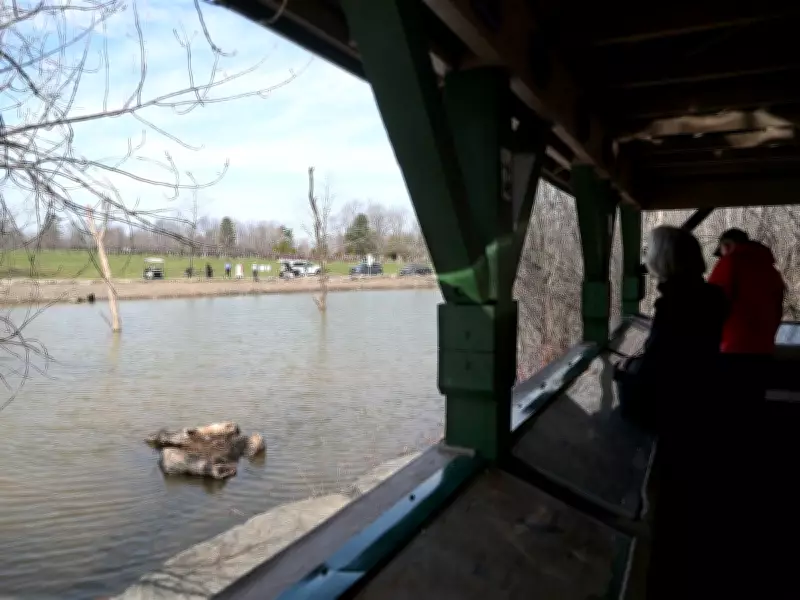 Macoun Marsh in Beechwood Cemetery Reopens After Three-Year Restoration