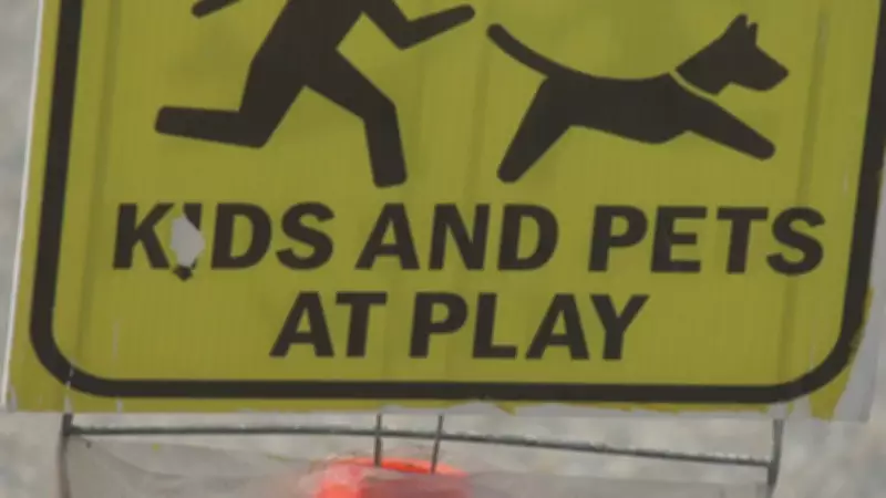 Mahogany Neighbourhood in Shock After Near-Miss Collision Near Family Home