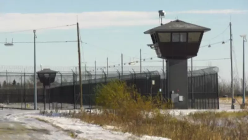 Major Drug Seizure at Edmonton Maximum-Security Prison: Over $57K in Meth and Cannabis Confiscated