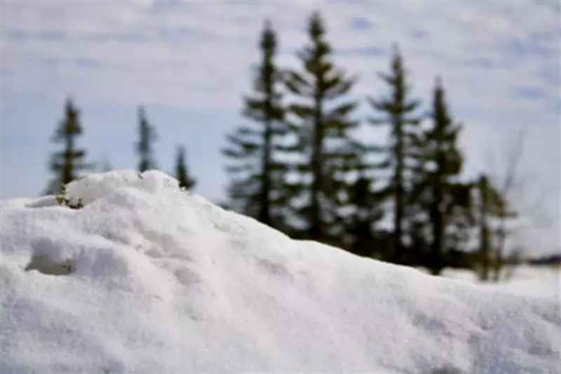 Major Spring Storm to Bring Up to 15 cm of Snow to Saskatchewan