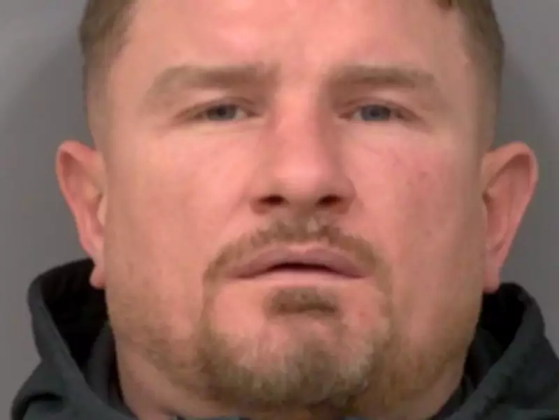 Man charged in series of Peel break-ins; firearms probe leads to four arrests