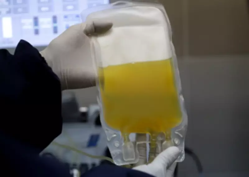 Manitoba Medical Examiner Confirms Autopsy in Plasma Donor Death, Echoes Health Canada Probe