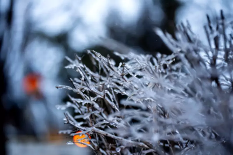 Maritime Schools Shut Down on April 1 Due to Severe Snow and Freezing Rain