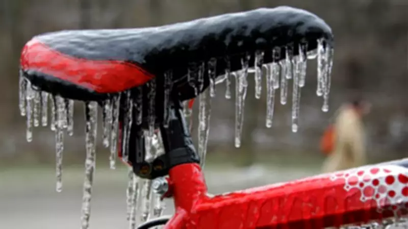 Maritimes Brace for Winter's Last Gasp: Snow, Freezing Rain Alerts Issued