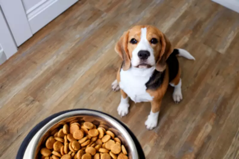 Meals on Wheels and Ontario SPCA Unite to Deliver Pet Food to Seniors