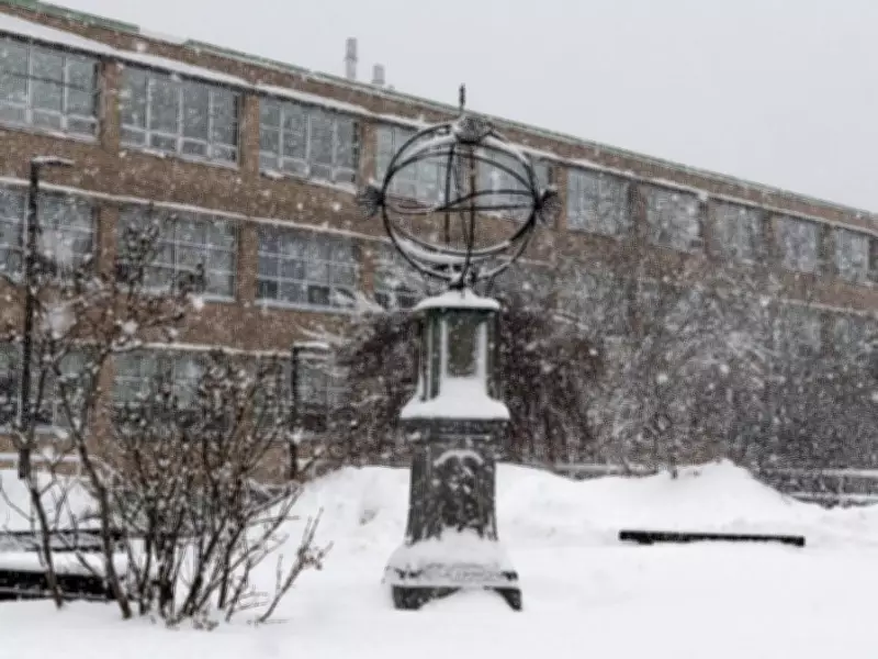 Memorial University Excludes Straight White Men from Tenured Professor Applications