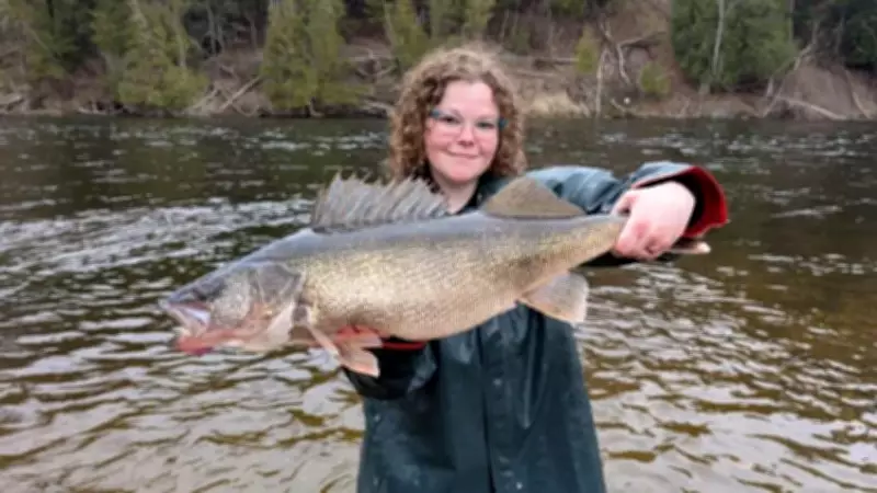 Michigan DNR Discovers Record 15-Pound Walleye in Muskegon River