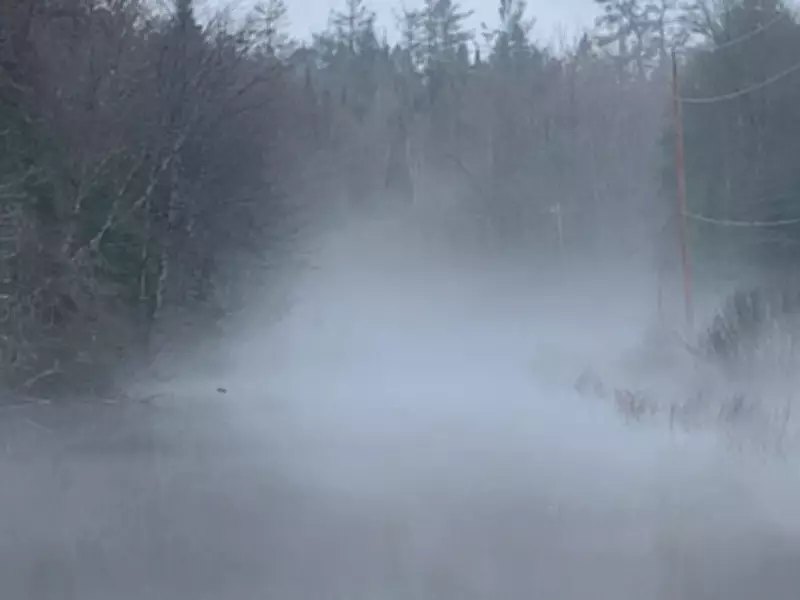 Minden Hills Declares State of Emergency Amid Severe Flooding Conditions