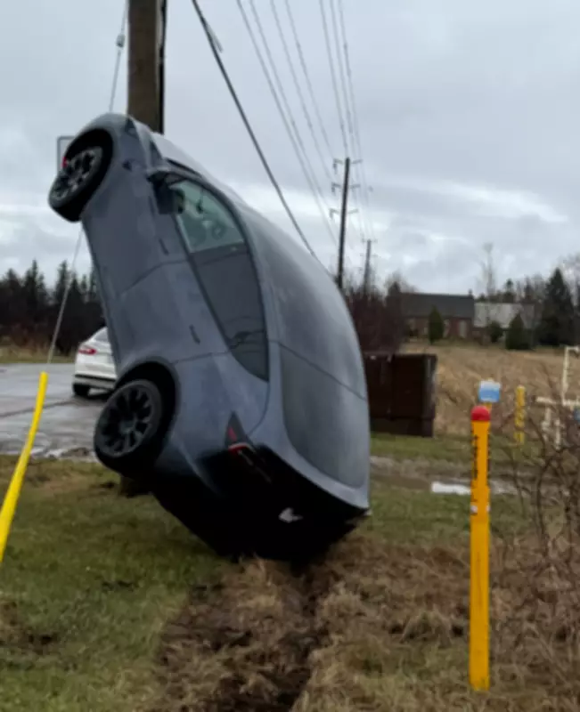 Mississauga Driver Climbs Hydro Pole in Burlington Crash; Hamilton Police Report Multiple Incidents