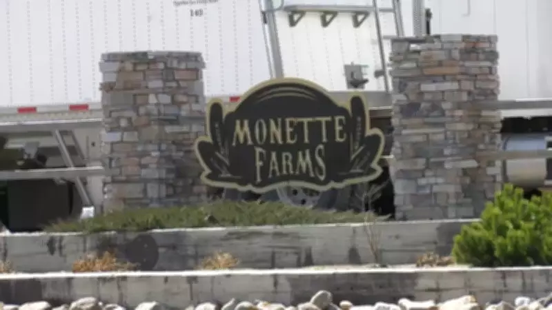 Monette Farms Files for Court Protection Amid Restructuring in Saskatchewan