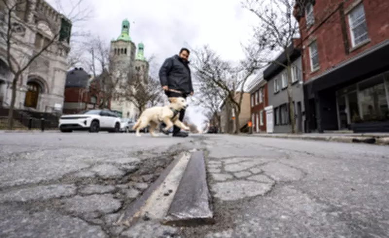 Montreal's Forgotten Streetcar Tracks Resurface Each Spring, Revealing Transit History