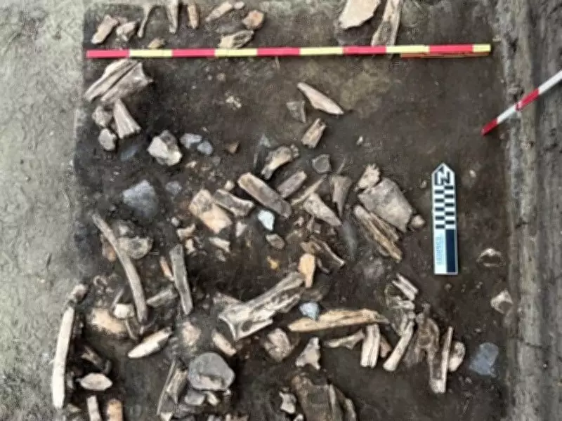 Moose Jaw Dig Reveals First Nations Farming Before European Contact